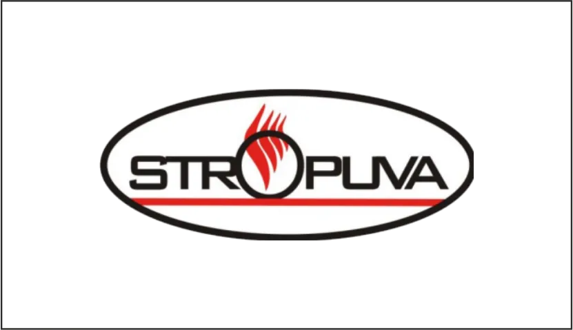 Logo PellasX - producent palnikow na pellet